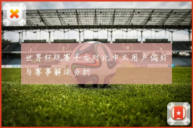 世界杯观赛平台对比中文用户偏好与赛事解读分析