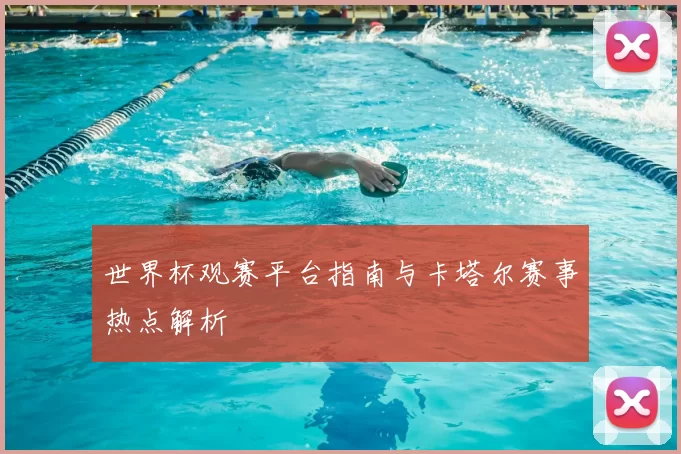 世界杯观赛平台指南与卡塔尔赛事热点解析