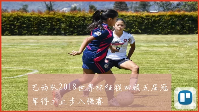巴西队2018世界杯征程回顾五届冠军得主止步八强赛