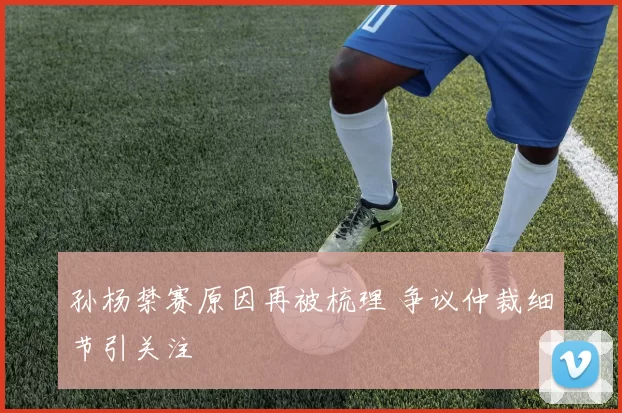 孙杨禁赛原因再被梳理 争议仲裁细节引关注