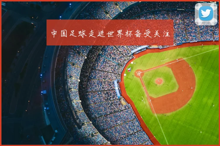 中国足球走进世界杯备受关注