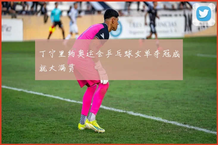 丁宁里约奥运会乒乓球女单夺冠成就大满贯